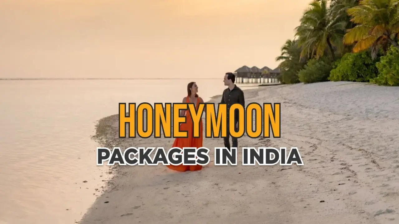 Top India Honeymoon Packages for a Romantic Getaway