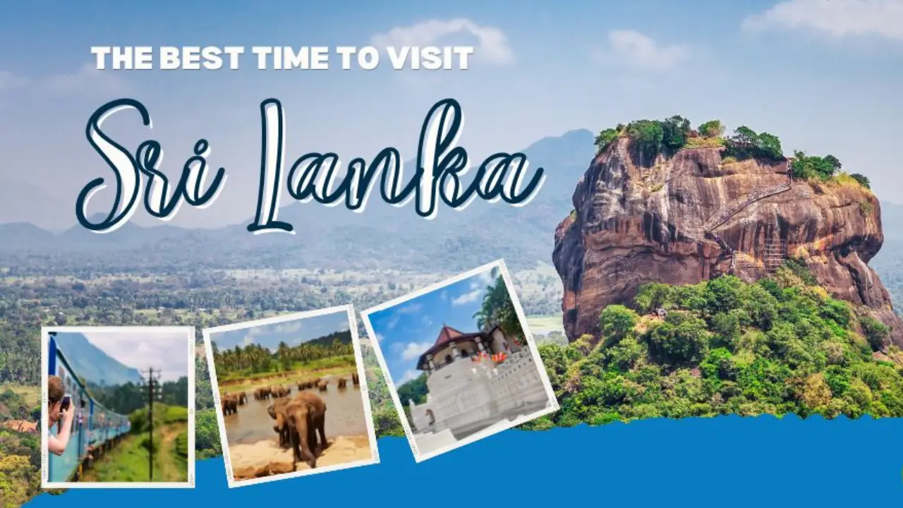 Best Sri Lanka Travel Packages for Beaches, Culture & Wildlife